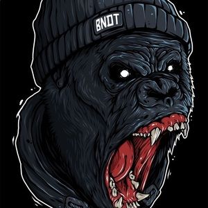 Meet your Posher, Ernesto